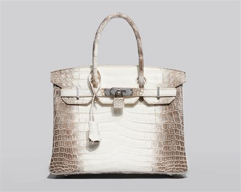 Why a Himalaya Birkin Is so Special 